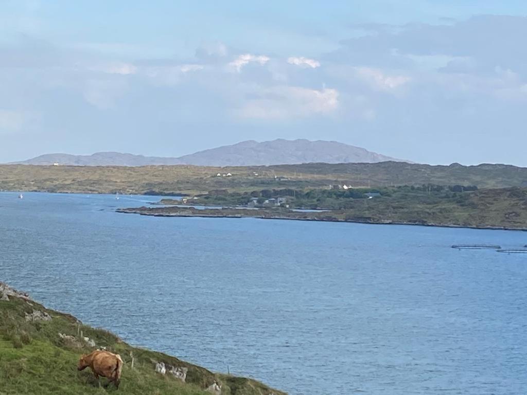 Racecourse Lodge Apartment Clifden Exteriör bild